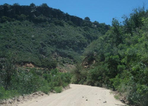 Near the top of Schnebly Hill Road Near the top of Schnebly Hill Road