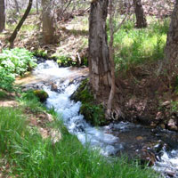 Sycamore Canyon waterway